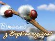 За тиждень у християн східного обряду Великдень! Що дозволяється робити у Вербну неділю і чого не бажано
