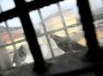 Хіти тижня. Скрепи високодуховні: Під Пітером канібали жорстоко вбили і з'їли хлопця (відео 16+)