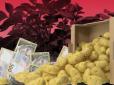 Хіти тижня. Експерти розповіли, чому українська картопля дорожча за білоруську бульбу