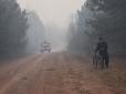 Горять ліси і села: На Житомирщині вирують масштабні пожежі (фото, відео)