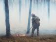 Пожежа в київському природному парку: Обгорілий бобер вийшов до людей і помер на їхніх очах (фото 16+)