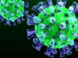 Коронавірус може бути вразливим до сонця: Цікаві дослідження вчених США