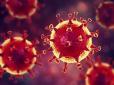 На медичній масці залишається тиждень: Скільки коронавірус живе на різних поверхнях