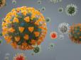 Мутував і ослаб: Вчені повідомили хороші новини про коронавірус