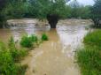 Страждають не тільки від коронавірусу: На Буковині річка вийшла з берегів і затопила городи селян (фото)
