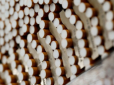 Курцям закрутили гайки: Рада заборонила міцні та ментолові сигарети