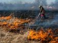 Штрафи та навіть в'язниця: Що загрожує українцям за спалювання листя й трави