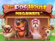 Що варто знати про слот The Dog House Megaways