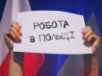 Заробітчанам на замітку: Скільки можна заробити в Польщі за місяць та де можна влаштуватися