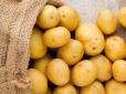 Ресторанний секрет! Коли варто солити картоплю, щоб була дуже смачна