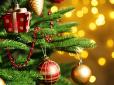 На які дні випадають Різдво і Новий рік-2026: Українцям пояснили, чи будуть вихідні