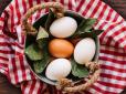 А ви це знали? Чому в жодному разі не можна класти гарячі варені яйця у холодну воду
