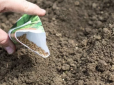 Дачникам на замітку! Яке насіння не можна замочувати