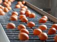Українські яйця рятують Іспанію від цінового шоку