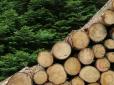 На межі виживання: Ще одна галузь РФ стрімко скотилась до банкрутства