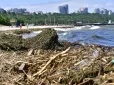 Природа виявилась сильнішою: Як Чорне море так швидко відновилося від тисяч тонн сміття після підриву Каховської ГЕС,  науковець дав пояснення