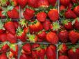 ідеальний варіант! Як заготовити полуницю на зиму без варіння, стерилізації та заморожування